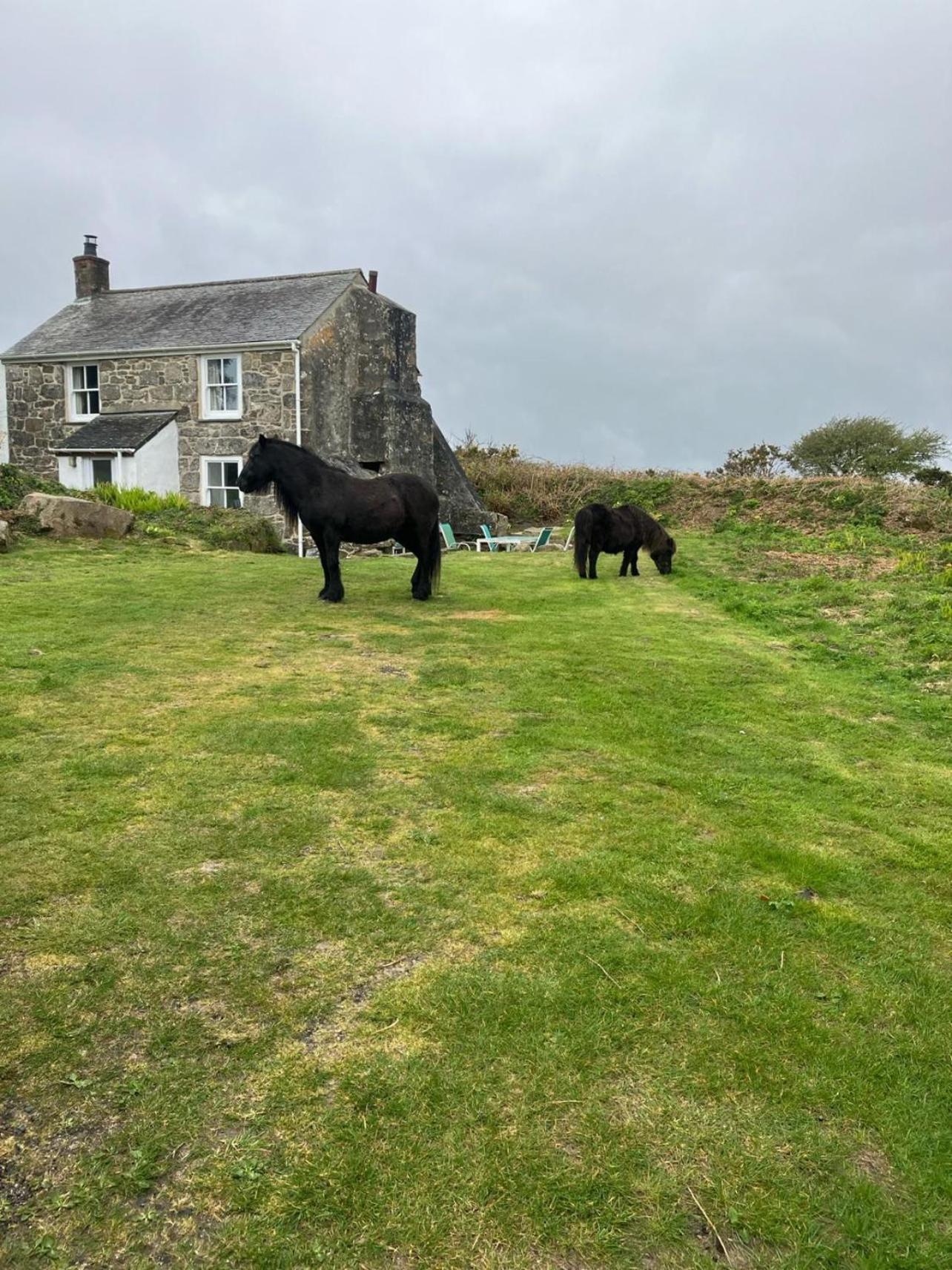 Kitts Cottage, Redruth, Cosy Cornish Retreat 雷德鲁思 外观 照片