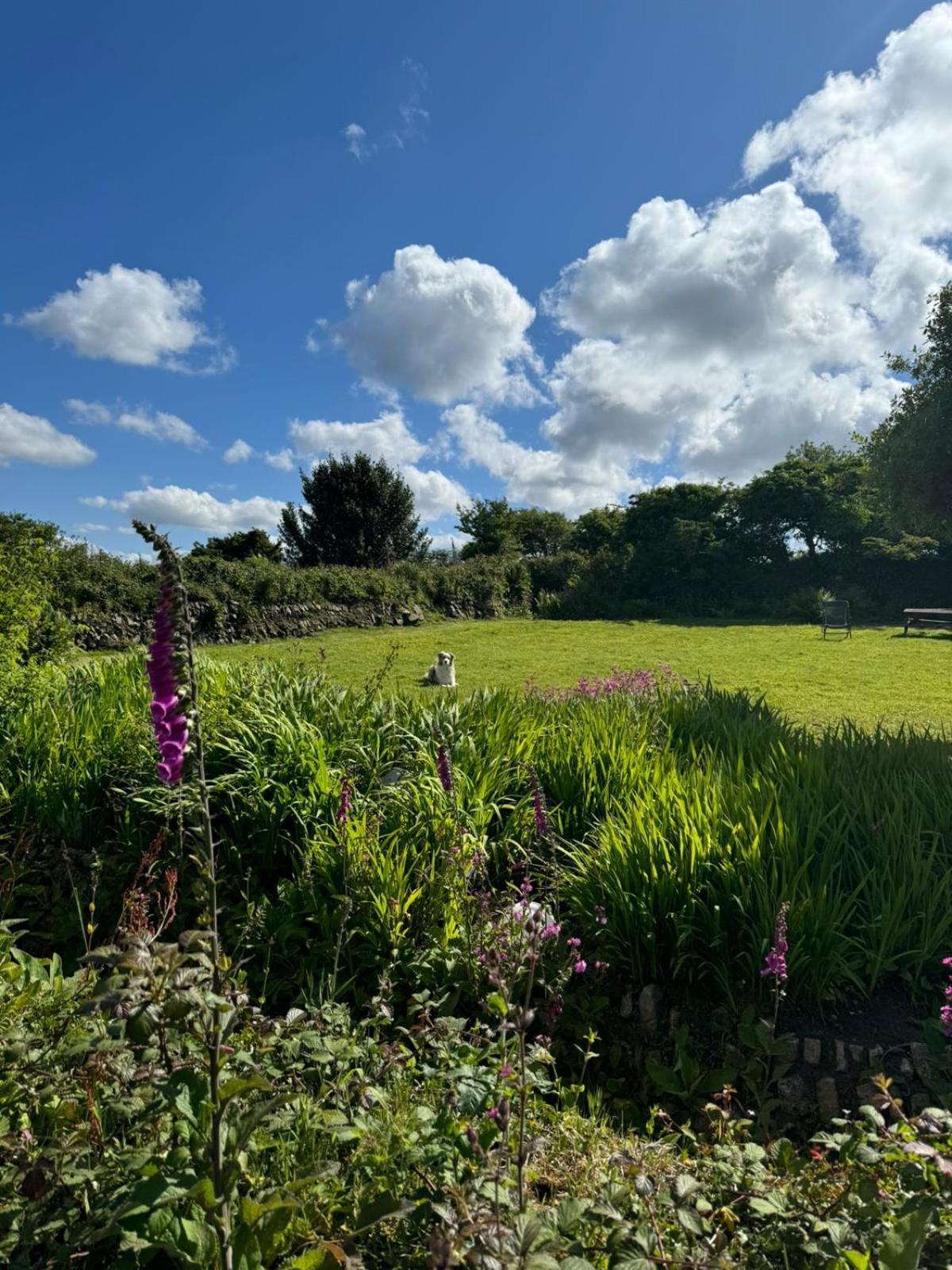 Kitts Cottage, Redruth, Cosy Cornish Retreat 雷德鲁思 外观 照片