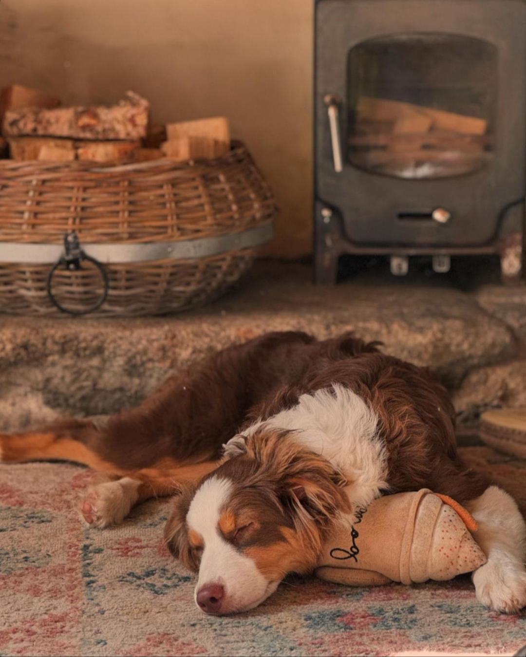 Kitts Cottage, Redruth, Cosy Cornish Retreat 雷德鲁思 外观 照片